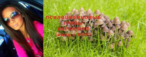 мдпв Аша