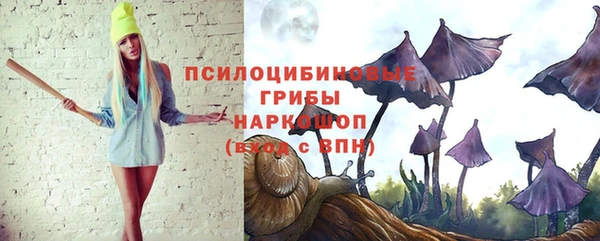 ECSTASY Бабаево